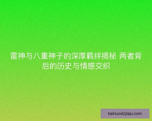 雷神与八重神子的深厚羁绊揭秘 两者背后的历史与情感交织