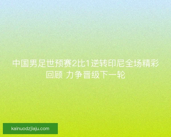 中国男足世预赛2比1逆转印尼全场精彩回顾 力争晋级下一轮
